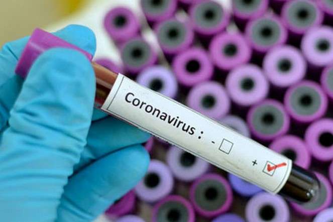Результат пошуку зображень за запитом коронавірус